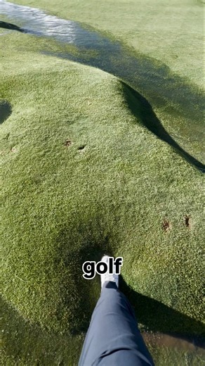 Why Is This Golf Course Grass Bubbling? 😳⛳