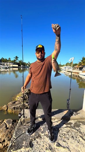 Catching Mangrove Snapper in Florida Keys