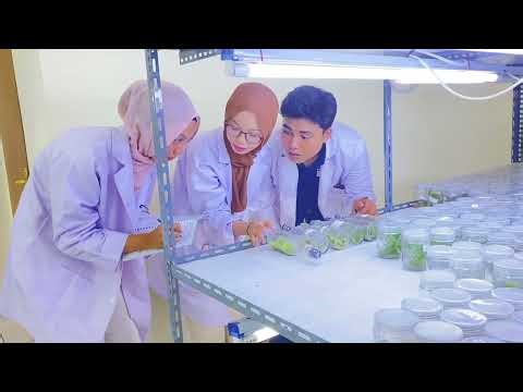Bukan Sekadar Kuliah. Ini Langkah Jadi Profesional Perkebunan.