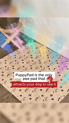 ⭐️⭐️⭐️⭐️⭐️ "We have tried disposable pads but they smell terrible and become dangerously slippery when wet - I have had several broken toes to attest to that !! PuppyPads have saved the day ! ” - Ann P Find out why people are going crazy over PuppyPad An innovative pee pad designed with input from top vets ✔️Patented scent that naturally attracts your dog to pee on the pad (no training) ✔️No pee smell and holds 4 pees ✔️Chew-Proof, High-Quality design that will last for years. ✔️Planet-Friendly 