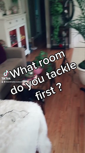 Let’s #clean this room. A good #chomchom #vacuum #tidyup & spray does the trick ✅ #cleantok #cleaningtiktok #foryoupage #intothethickofit #cleaning