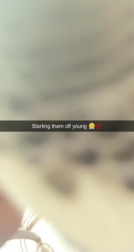 Budgie Talking Parrot: Hilarious Parakeet Meme Compilation