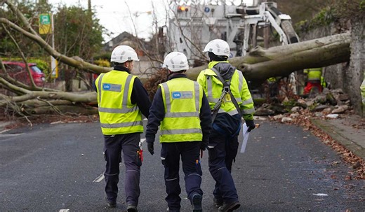 Profits quintuple, world's highest charges, yet ESB won't storm-proof lines