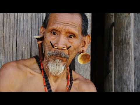 "Secrets of the Amazon Tribes | Hidden Life in Brazil’s Rainforest"