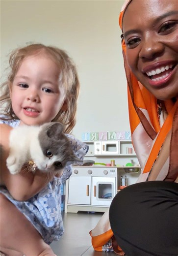 Gemes bgttt kamariii 😍 | Kucing TikTok