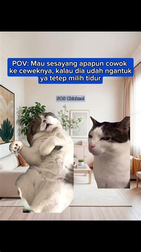boong ga si #cat #catmeme #kuliner #kulinermalang #malang