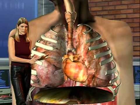 Breathing in and out