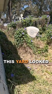 Incredible Yard Cleanup! | Blade Mate Lawn Care