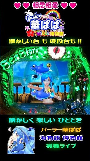 🔥激熱🔥🐅虎柄地図🐅🦑巨大イカリーチ🦑✨後半発展✨💣砲撃💣 🏴‍☠️ハイパー海物語 IN カリブ🏴‍☠️🎗️パーラー華ぱぱ・海物語博物館🎗️ショート動画