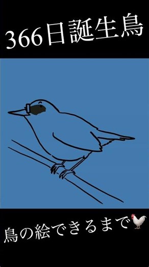 【誕生鳥イラスト】コルリ【7月6日】Siberian blue robin