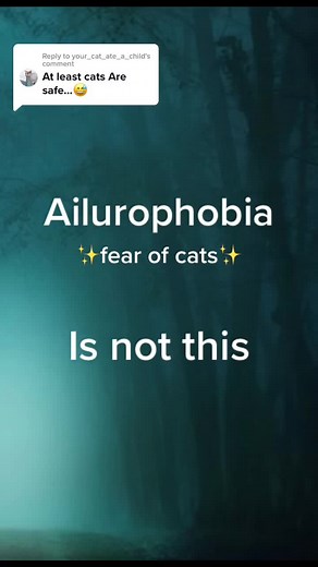 Ailurophobia - Fear of Cats: Conquer Your Fears!