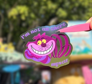 Cheshire Cat Sticker | Alice in Wonderland Transparent Matte Sticker | Disney Sticker for Scrapbooking, Journaling, Laptop, Water Bottle - Etsy