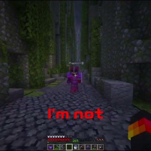 Mapicc Destroys Spoke’s Chestplate | Unstable SMP #shorts