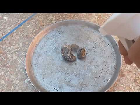 Gold Extraction from Pyrite Made Simple