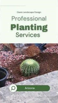 Planting Services Arizona That Transform Your Yard