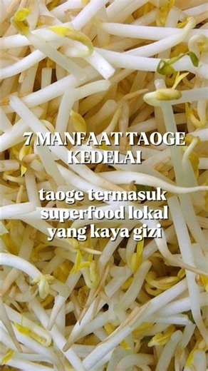 7 Manfaat Taoge Kedelai