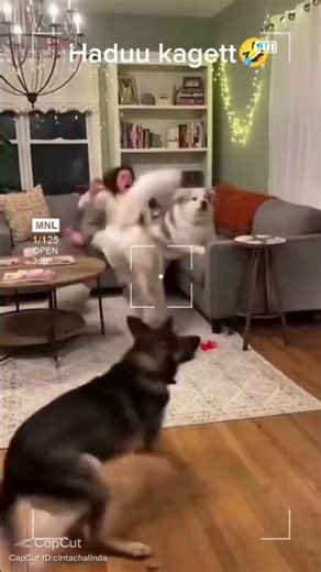 surprised 😲#funny #comedy #ai #trending #viral