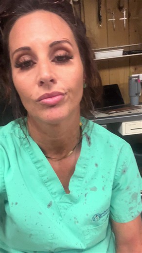 I’ve seen bloodier days 😅 #vetlife #emergency #veterinarian #horsevet | Veterinarian