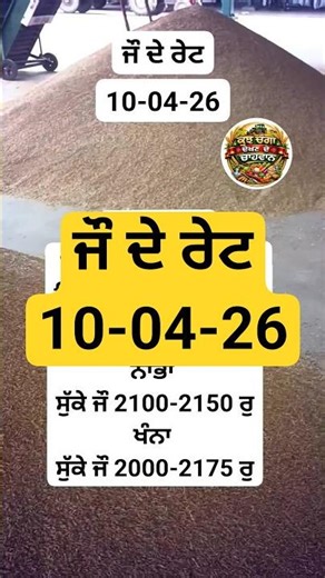 mandi rate punjab ਜੌ ਦੇ ਰੇਟ 10-04-26 #shortsfeed #agriculture #farming
