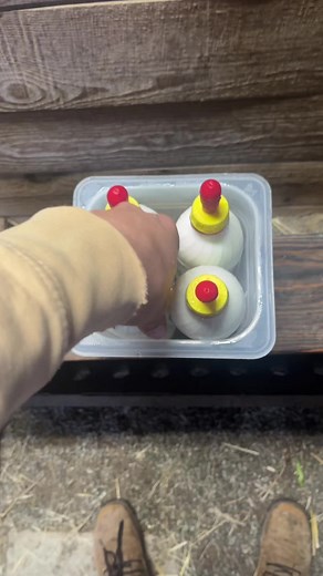 Officially one month old today! #fyp #viral #babygoat #bottlefeeding