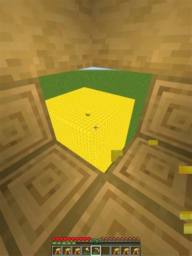 Minecraft insane Gold illusion💀