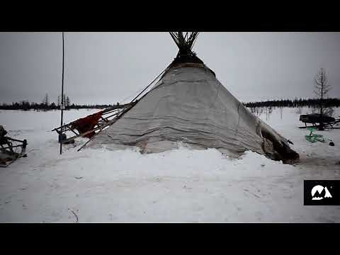 Beyond the Arctic Circle: Nenets Reindeer Herders