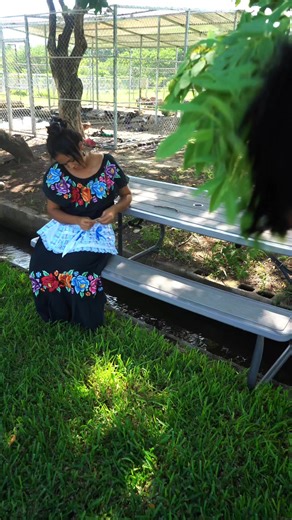 El tímido. #shorts | El Salvador Plus