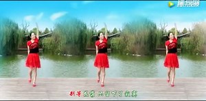 《花开的时候你就来看我》广场舞