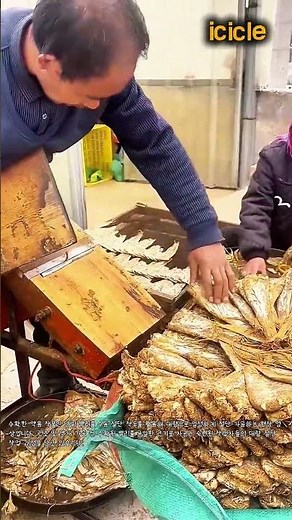 당귀 뿌리 수동 절단 작두 대량 가공 현장