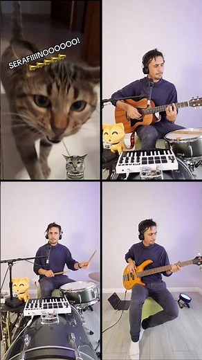 Serafino (Singing Cat Song) 😻