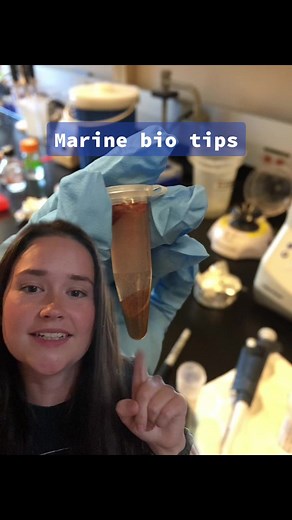 Marine Biology College Programs and How to Become a Marine Biologist