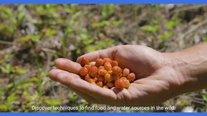 Mastering Wilderness Survival Skills