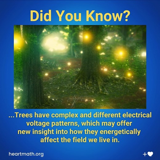 145K views · 3K reactions | After monitoring several Oak and Redwood...