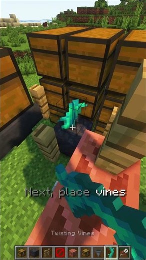 Automatic Item Sorting System in 20 Seconds Java & Bedrock