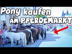 PONY KAUFEN am Pferdemarkt