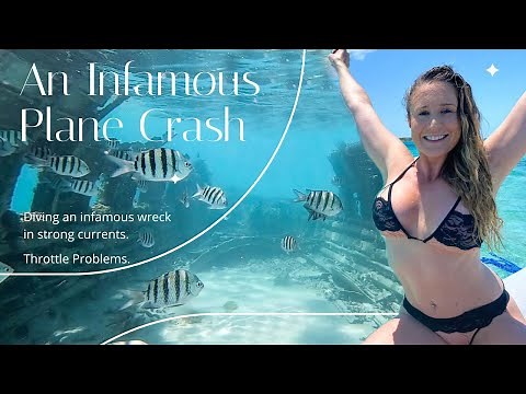 Sailing Life: Free Diving an Infamous Wreck in Strong Currents - Lazy Gecko Sailing Ep.242