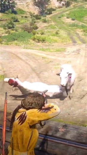 Cuộc sống hoang dã nơi núi rừng P1225