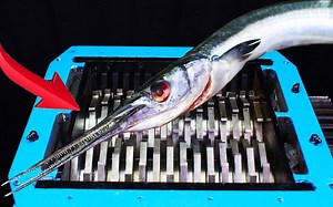 用疯狂粉碎机碾碎剑鱼和乐高忍者玩具