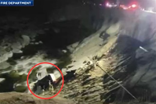 North Carolina Woman Drives Off Cliff to Her Death After Ignoring 'Road Closed' Sign and Concrete Barriers