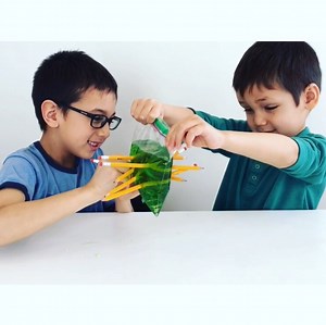 Ziplock Bag and Pencil Experiment * ages 6-8 ⋆ Raising Dragons