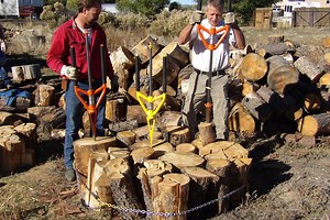 Il existe des astuces pour trouver du bois de chauffage beaucoup moins cher, voire quasiment gratuitement