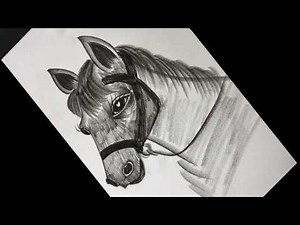 How to Draw a Horse Head in Pencil | From Sketch to Final Details