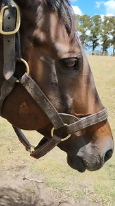 El hoy de Invasor | Invasor