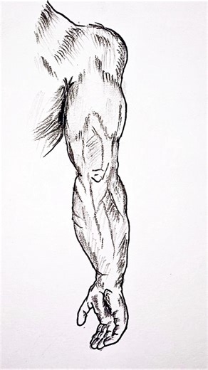 🎨 How to Draw Hand Triceps | Easy Step by Step Drawing Tutorial 💪#sehar#shorts