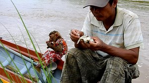 Soo sits on new boat with grandfather, Baby Soo and grandfather's river is rising | Monkey Soo