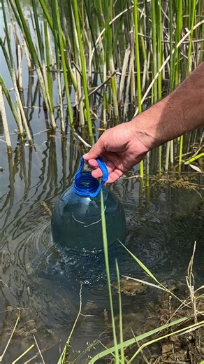 Survival Skills: Making a Bucket from Duct Tape. #survival #camping #ideas #lifehack #skills #outdoors #bushcraft #forest #l#lifehack #outdoor #idea | Sergio Outdoors