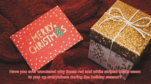 Why Are Candy Canes A Universal Symbol Of Christmas?