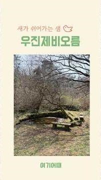 여기어때 46 - 우진제비오름 #여행 #제주 #jeju #4월여행지 #오름 #oreum