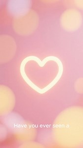 A boy and animals getting along well | Draxson Nmg