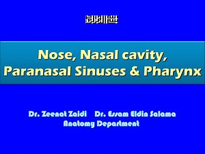 Nose, Nasal cavity, Paranasal Sinuses &amp; Pharynx - SlideServe
